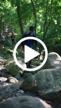 BIB:  <button type="button" onclick="openModal(28052276)" class="btn btn-primary btn-sm float-right" data-toggle="modal" data-target=".modal-high-quality">
                <i class="fa fa-download"></i> Download
                </button>